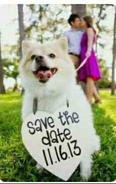 ¿Incluyeron a sus mascotas en su save the date? - 3