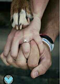 ¿Incluyeron a sus mascotas en su save the date? - 4