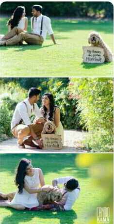 ¿Incluyeron a sus mascotas en su save the date? - 5
