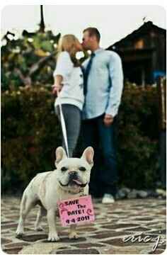 ¿Incluyeron a sus mascotas en su save the date? - 6