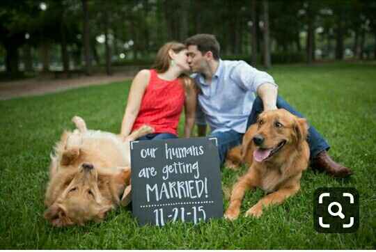 ¿Incluyeron a sus mascotas en su save the date? - 8