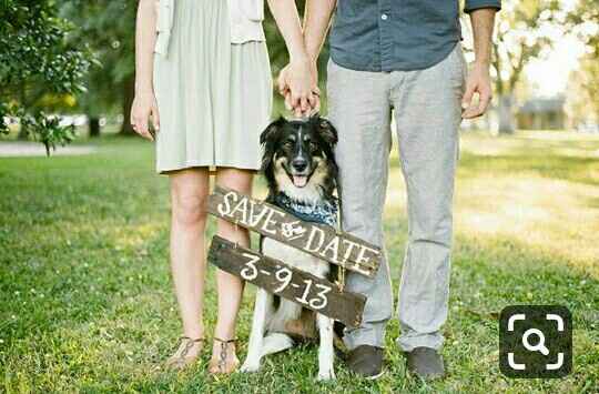 ¿Incluyeron a sus mascotas en su save the date? - 9