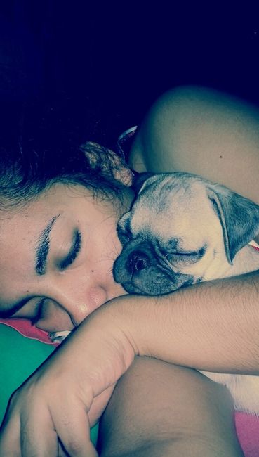 Presenten mascotas.... - 1