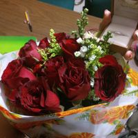 MIS ROSAS !!!