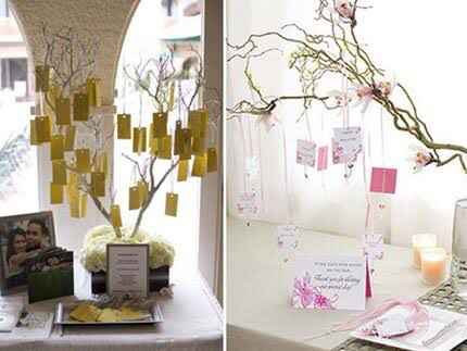  Zapatilla y recolecta - 2