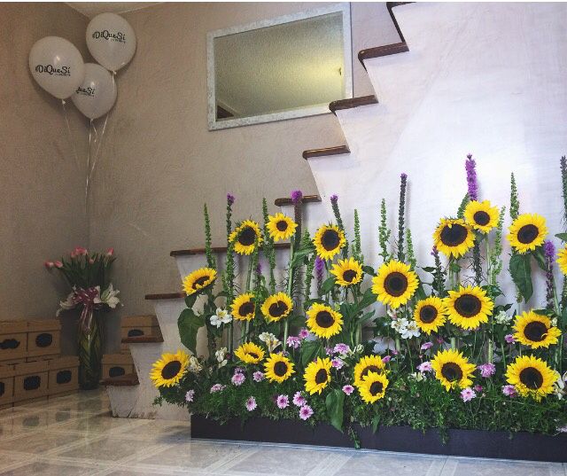 Por fin pedida! - 10