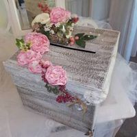  Zapatilla y recolecta - 1