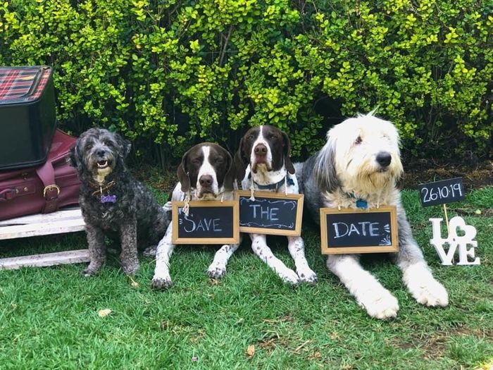 Nuestras invitaciones - 7