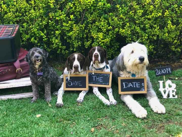 Nuestras invitaciones - 7