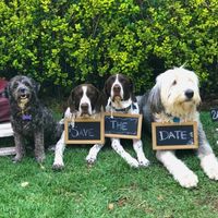 Nuestras invitaciones - 7