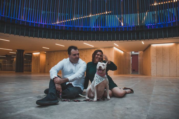 como van con la Sesión de Fotos? - 4