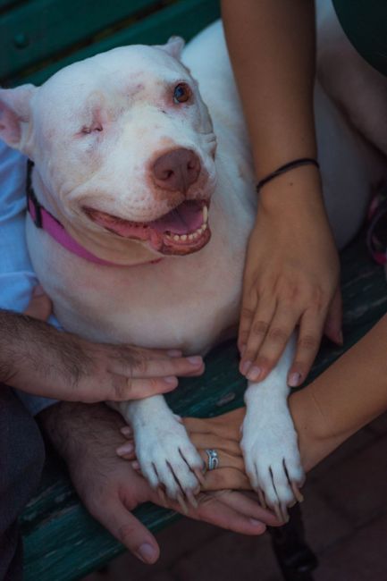 como van con la Sesión de Fotos? - 5