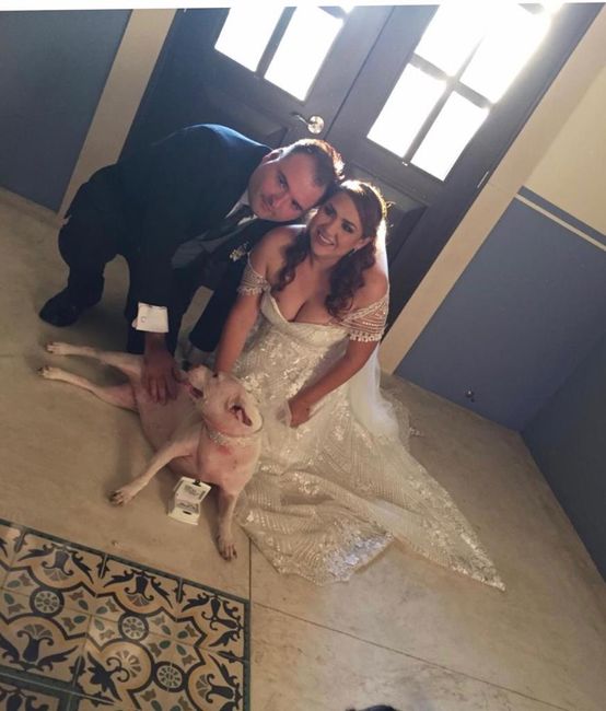 Canto si no canto 🙄🤣🤣🤣 2