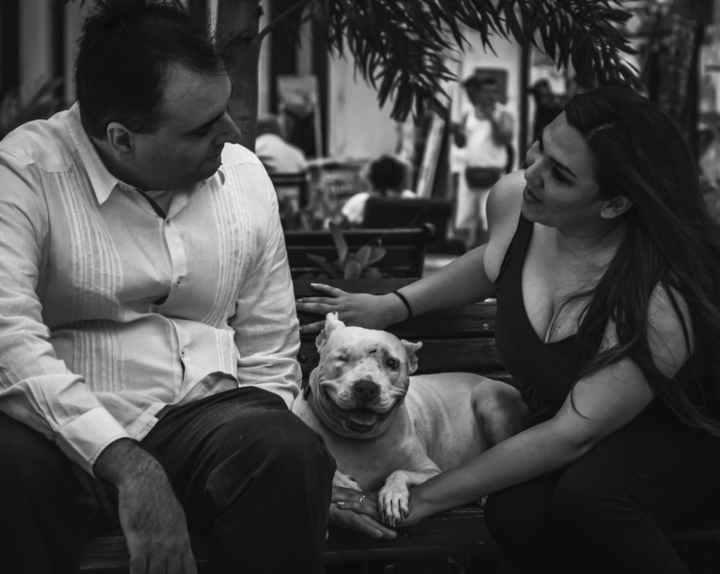 como van con la Sesión de Fotos? - 1