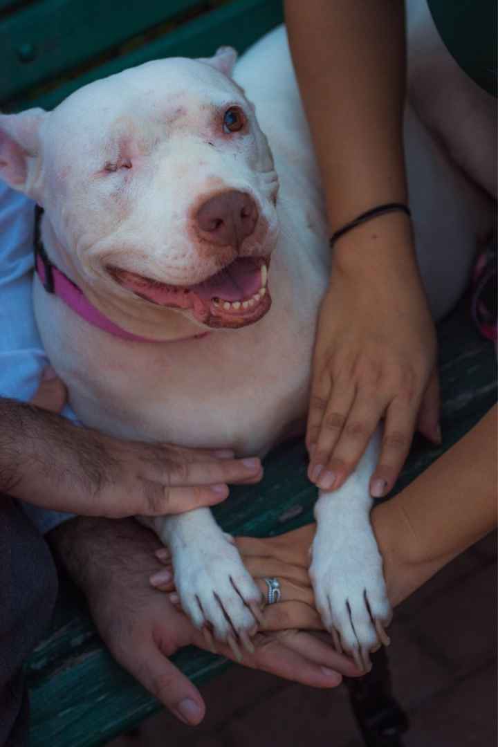 como van con la Sesión de Fotos? - 2