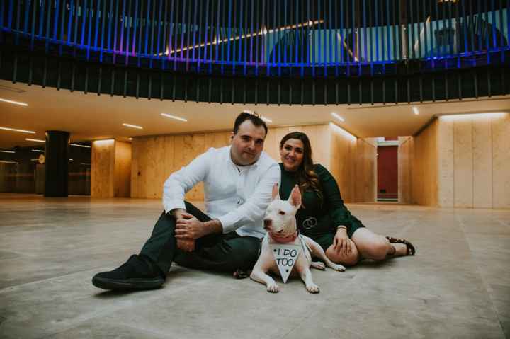 Anuncia la fecha con tu mascota 😺🐶 - 1