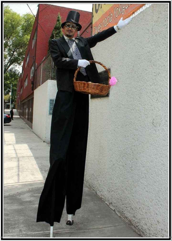  Mi boda y ceremonia Japonesa. Por fin me casé!!! - 6