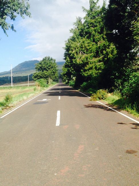 Guía para sesión de fotos en cdmx - 5