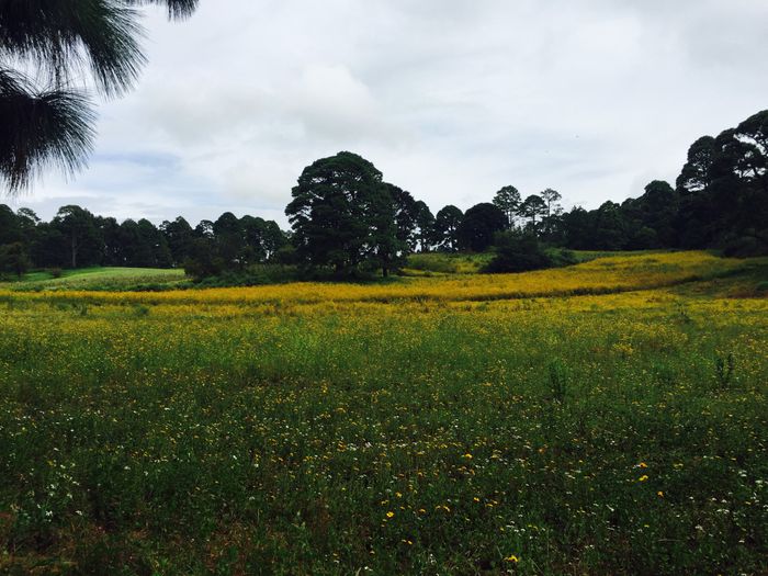 Guía para sesión de fotos en cdmx - 8