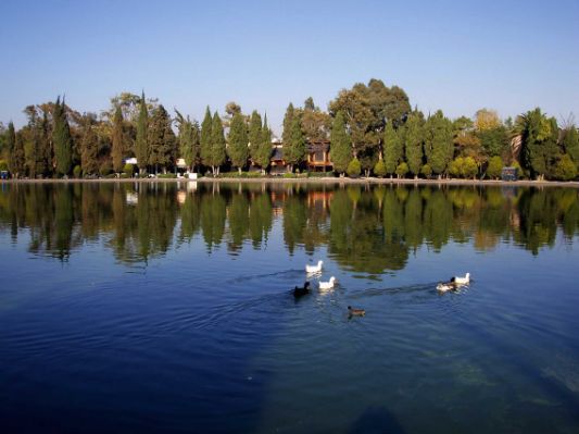 Guía para sesión de fotos en cdmx - 12