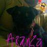 Aran