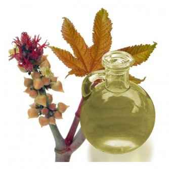 ACEITE DE OLIVA