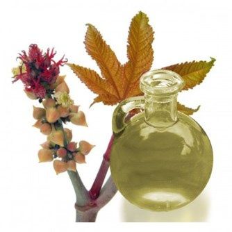 ACEITE DE OLIVA