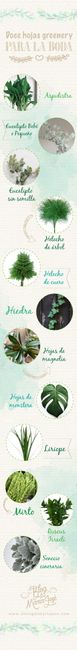 Hojas greenery