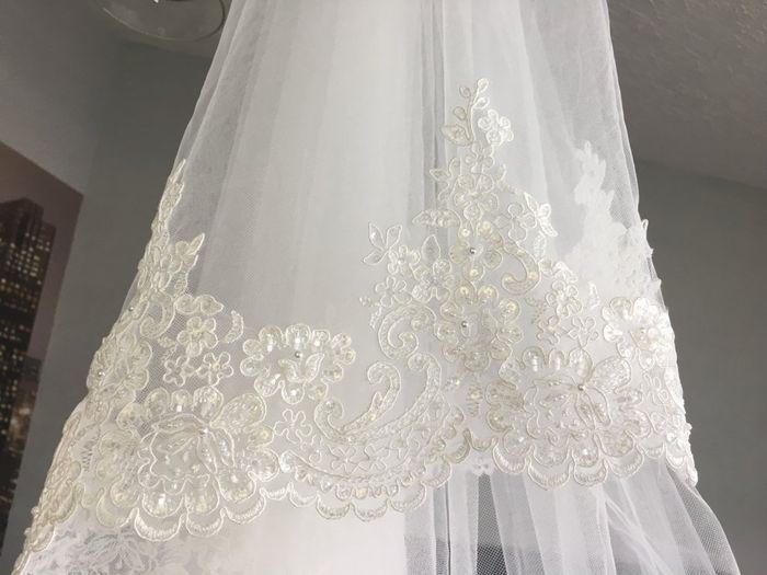 Velo o mantilla? - 1