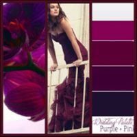Paleta de colores