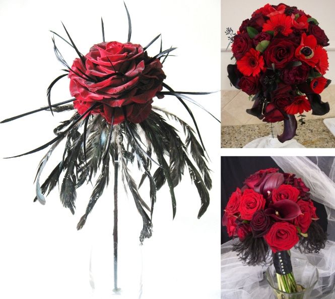 rojo4