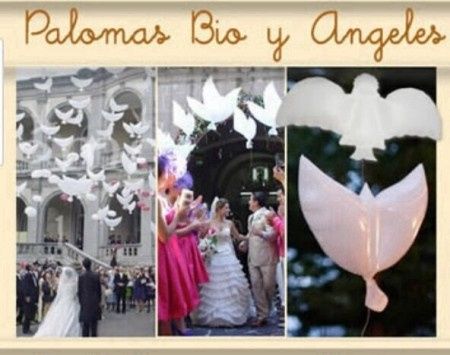 Palomas 