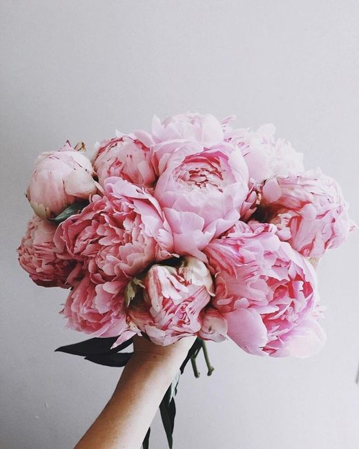 La Flor del Amor: Peonías 2