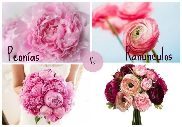 La Flor del Amor: Peonías 4