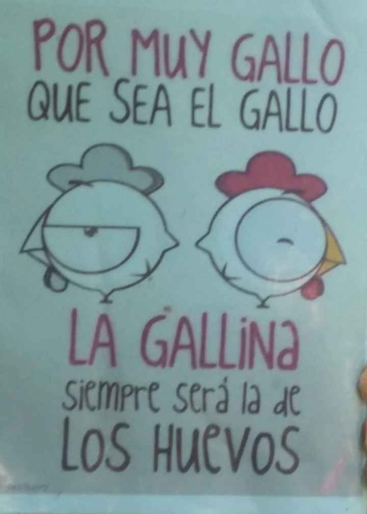 Que opinan? jajajaja