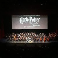 mi regalo Potterhead