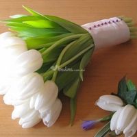 Tulipanes blancos