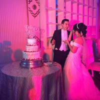 pastel D&G