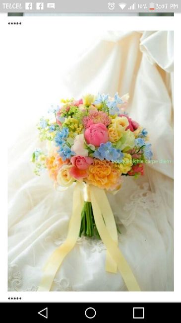  Ramos coloridos - 2