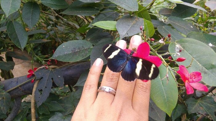 ¡Presume tu anillo! 💍 - 1