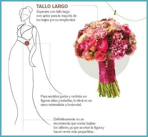 Tipo de ramos - 6