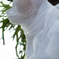 The dress