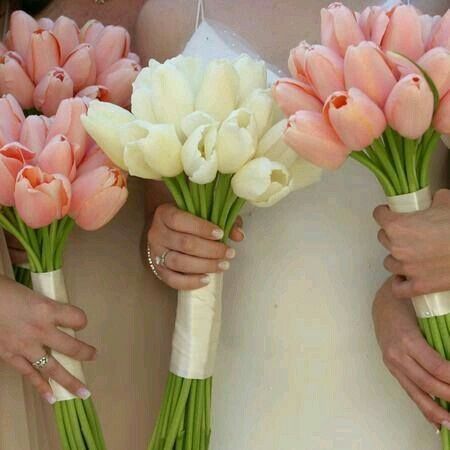 Ideas para ramo!!! - 2