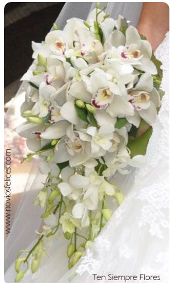 El ramo 💐 - 4