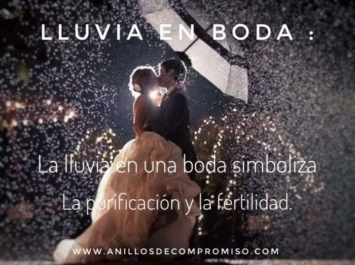 Hermosos significados...lo sabían? - 7