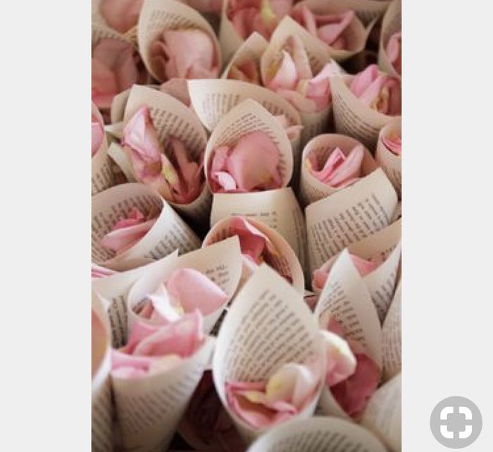 Pétalos rosas para recibir a los novios - 1