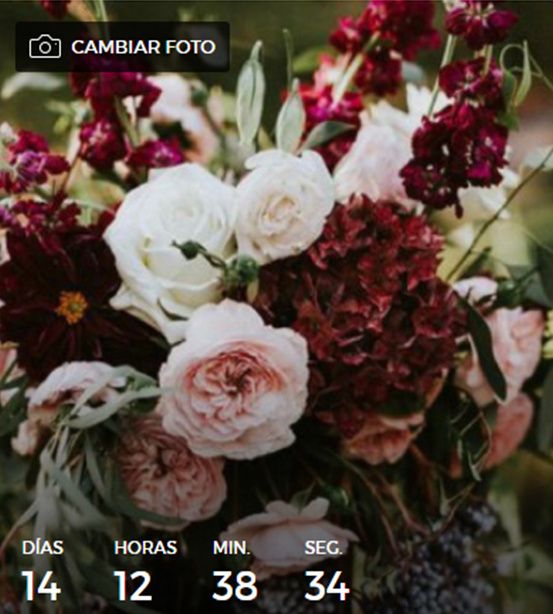 A 14 DIAS
