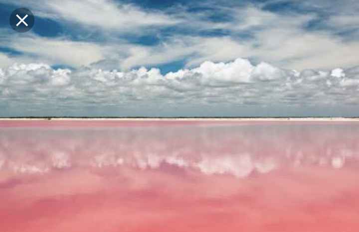 Luna de miel en rosa!! - 1