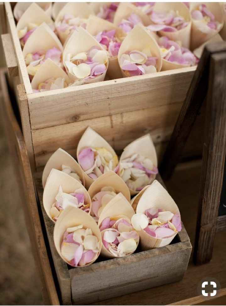 Pétalos rosas para recibir a los novios - 2