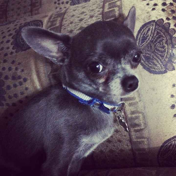 Presenten al amor de su vida💕👨💕 - 2